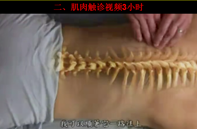 图片[3]-一套可以帮助您快速解决疼痛问题的疼痛必备中医自学视频教程【百度网盘下载】