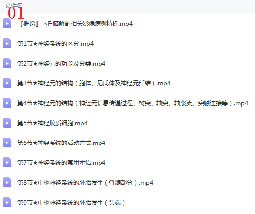 图片[3]-神经系统解剖进阶课高清视频教程血管颅脑脊髓神经解剖影像学【百度网盘下载】