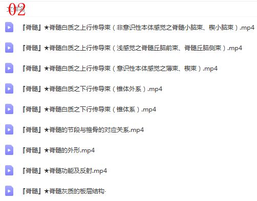 图片[4]-神经系统解剖进阶课高清视频教程血管颅脑脊髓神经解剖影像学【百度网盘下载】