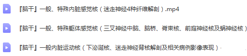 图片[6]-神经系统解剖进阶课高清视频教程血管颅脑脊髓神经解剖影像学【百度网盘下载】