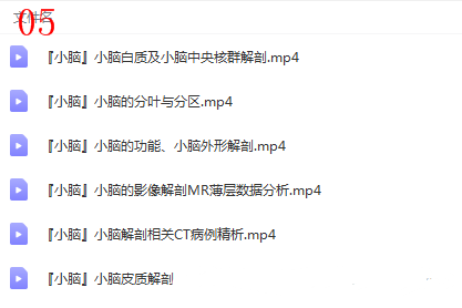 图片[9]-神经系统解剖进阶课高清视频教程血管颅脑脊髓神经解剖影像学【百度网盘下载】