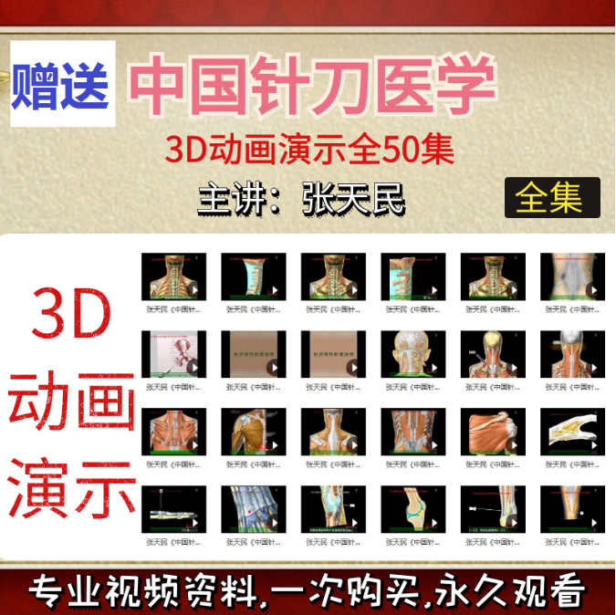 图片[3]-小针刀视频张天民吴绪平中国针刀医学大型系列视频教程全集63集【百度网盘下载】