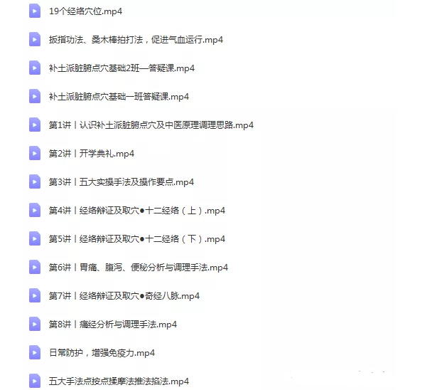 图片[3]-2020补土派脏腑点穴疗法脏腑推拿法机能调理初级班专业班中医视频教程【百度网盘下载】