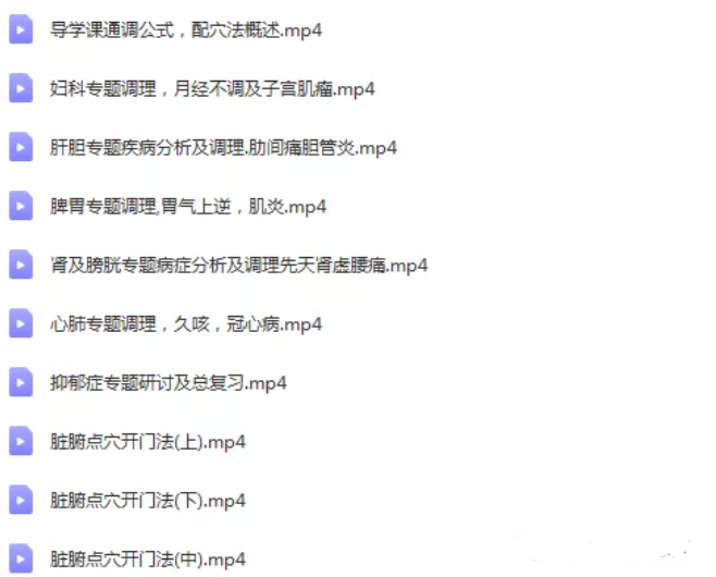 图片[5]-2020补土派脏腑点穴疗法脏腑推拿法机能调理初级班专业班中医视频教程【百度网盘下载】