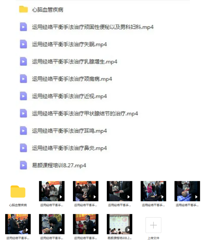 图片[2]-易颜阴阳复合针法治疗多种疑难杂症及心造血管疾病视频教程【百度网盘下载】