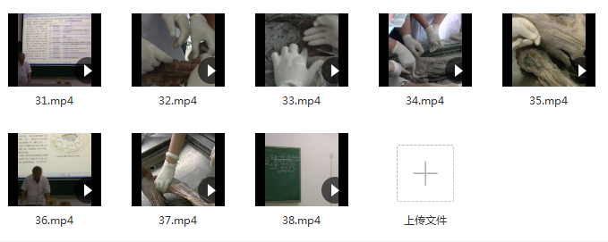 图片[3]-庞继光小针刀南方医科大学针刀解剖班视频教程【百度网盘下载】