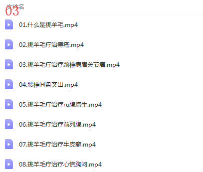 图片[5]-王合民刺络放血挑羊毛疔中风偏瘫膏药中医视频教程合集【百度网盘下载】