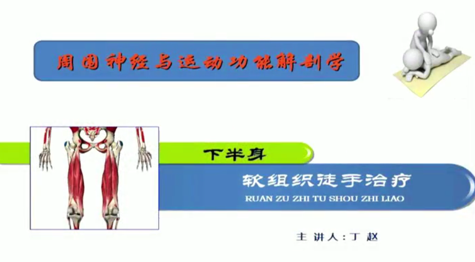 图片[3]-丁赵-周围神经与运动功能解剖学中医视频教程(301课程）【百度网盘下载】