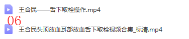 图片[8]-王合民刺络放血挑羊毛疔中风偏瘫膏药中医视频教程合集【百度网盘下载】