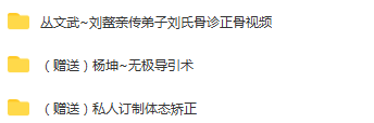 图片[2]-丛文武-刘鳌弟子刘氏骨疗摸骨知病骨诊正骨手法视频教程【百度网盘下载】