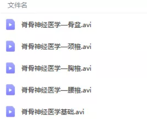 图片[2]-柳泽林正骨手法高清视频教程颈椎胸椎腰椎骨盆矫正教学【百度网盘下载】