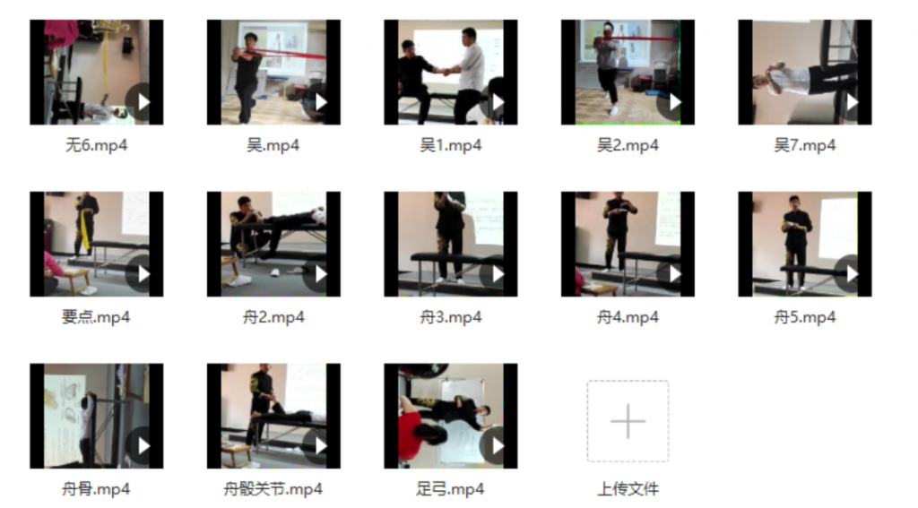 图片[4]-王晶钊五元素空间宏源正骨视频教程足踝评估与手法处理讲课完整版【百度网盘下载】