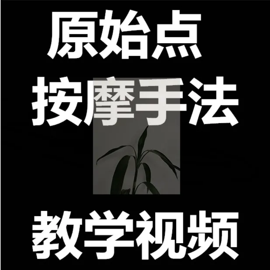 图片[1]-原始点按摩手法教学视频教程【百度网盘下载】