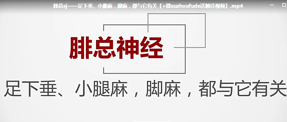 图片[3]-断层说中医康复-实用神经解剖与手法视频教程，一根根玩转人体神经（22集）【百度网盘下载】