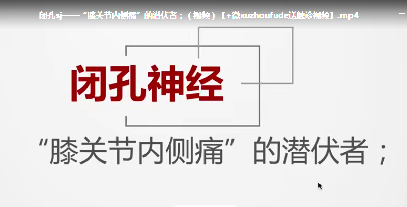 图片[4]-断层说中医康复-实用神经解剖与手法视频教程，一根根玩转人体神经（22集）【百度网盘下载】
