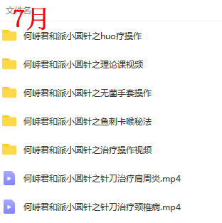 图片[4]-何峙君2017年5月7月和派小圆针培训班视频教程【百度网盘下载】