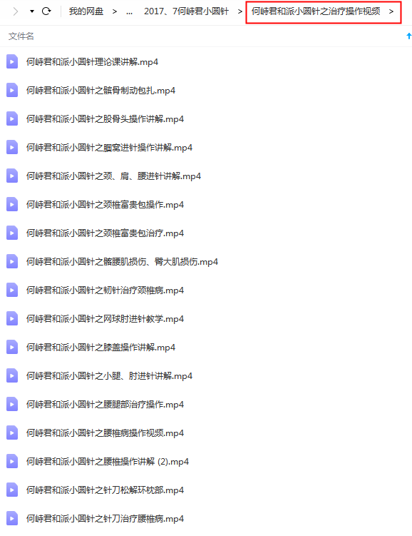 图片[5]-何峙君2017年5月7月和派小圆针培训班视频教程【百度网盘下载】