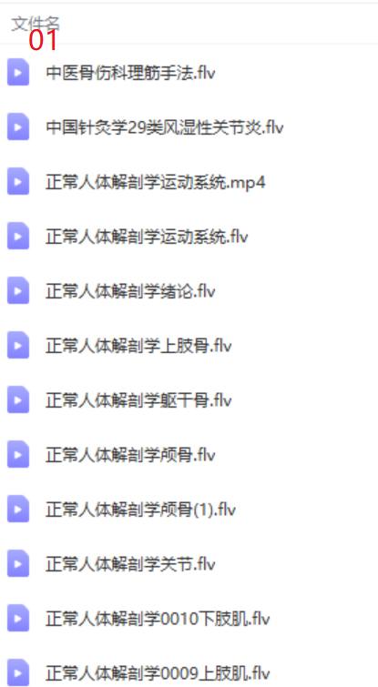 图片[3]-罗有明罗氏正骨颈肩腰腿痛中医正骨实操视频教程【百度网盘下载】