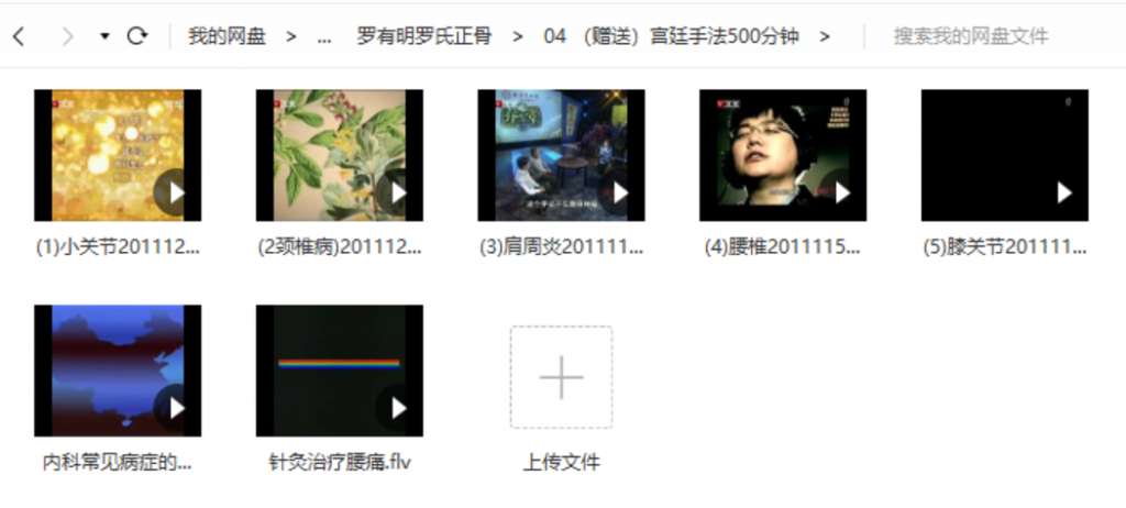 图片[6]-罗有明罗氏正骨颈肩腰腿痛中医正骨实操视频教程【百度网盘下载】