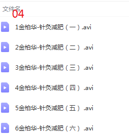 图片[6]-金氏神针金伯华中医经典针灸全套视频教程【百度网盘下载】