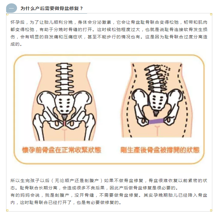 图片[2]-产后骨盆修复店必备学习资料视频教程合集【百度网盘下载】