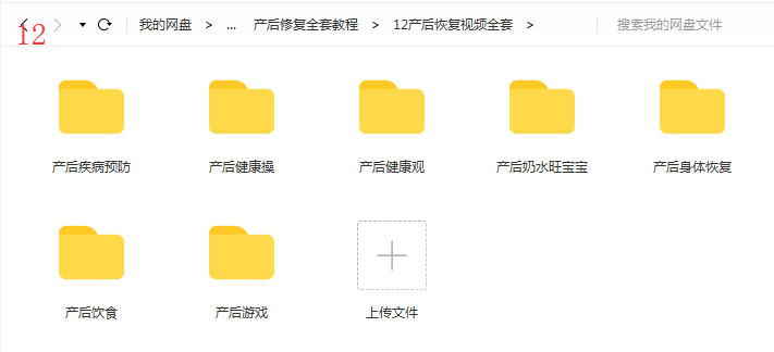 图片[14]-产后骨盆修复店必备学习资料视频教程合集【百度网盘下载】
