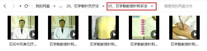 图片[7]-石学敏针灸针刺手法视频教程全集针灸学123讲醒脑开窍针法-百度网盘下载