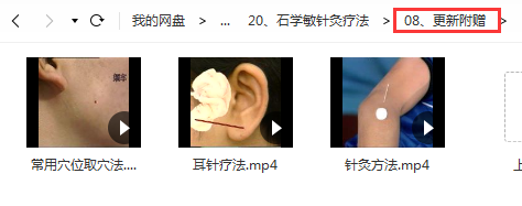 图片[10]-石学敏针灸针刺手法视频教程全集针灸学123讲醒脑开窍针法-百度网盘下载