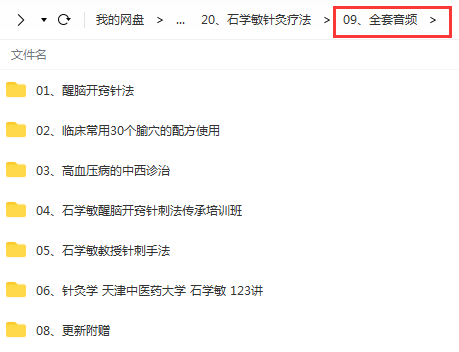 图片[11]-石学敏针灸针刺手法视频教程全集针灸学123讲醒脑开窍针法-百度网盘下载