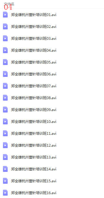 图片[6]-郑全雄董氏奇穴针灸提高培训班针灸高级班经典视频教程-百度网盘下载