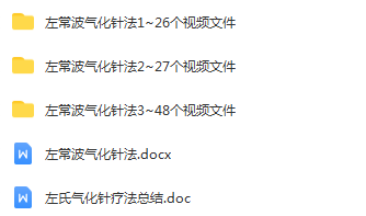 图片[2]-左常波气化针法董氏针灸疼痛终极之道视频教程全集-百度网盘下载