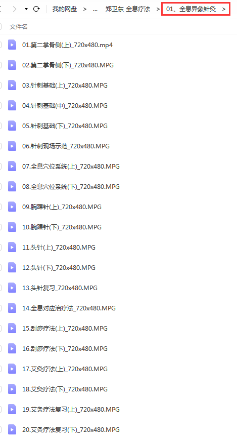 图片[3]-郑卫东全息疗法理论临床运用培训班内部培训视频教程-百度网盘下载