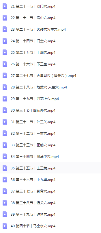 图片[4]-董氏奇穴针灸视频教程:郑承濬精选特效43讲20种常见病针刺配穴精讲课-百度网盘下载