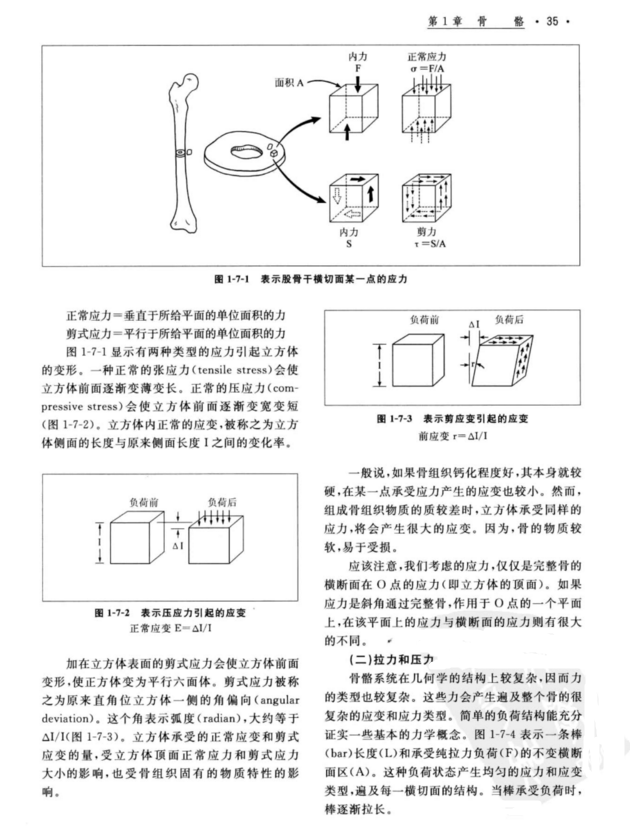 图片[3]-实用骨科学 第4版修订本(上下册)_胥少汀2019年PDF电子版下载