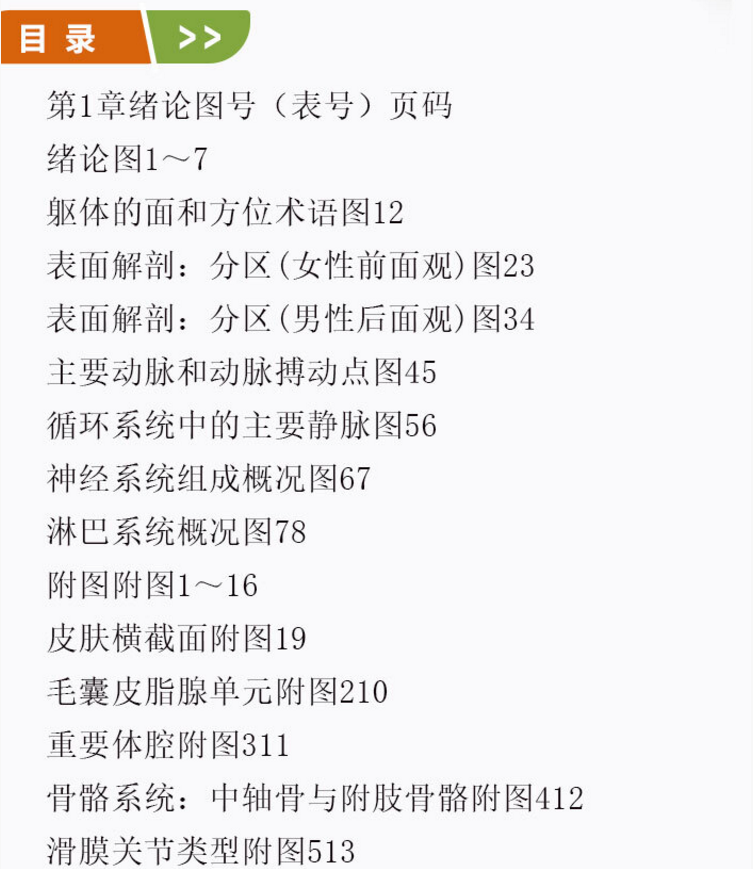 图片[2]-奈特人体解剖学彩色图谱第7版_张卫光2019译 (彩图) PDF电子版下载