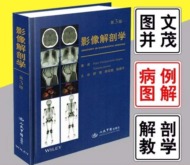 图片[1]-影像解剖学第3版第三版_郝强陈宏颉主译PDF电子版下载