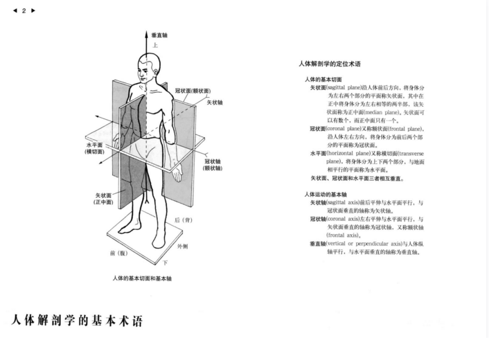 图片[2]-运动解剖学图谱第3版_顾德明2013年PDF电子版下载