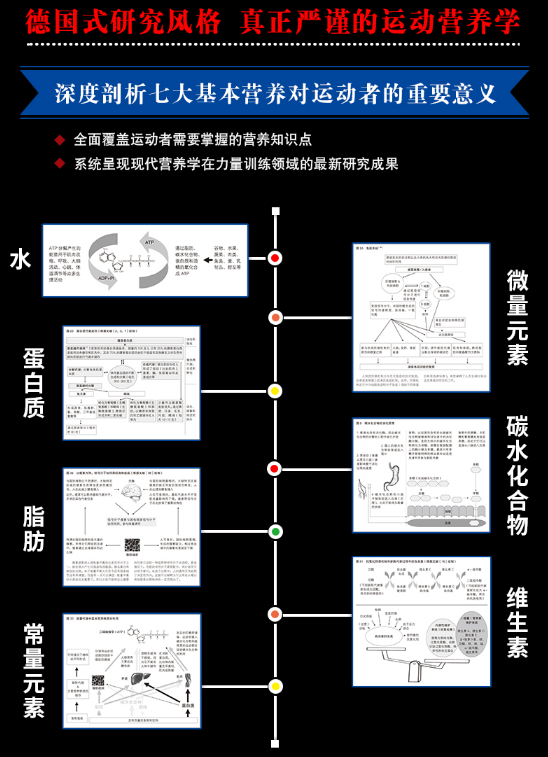 图片[2]-健身营养全书 关于力量与肌肉的营养策略_庄仲华2018PDF电子版下载