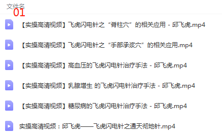 图片[3]-邱飞虎针灸教学视频教程飞虎闪电针法+鬼门十三针杨继洲全集-百度网盘下载
