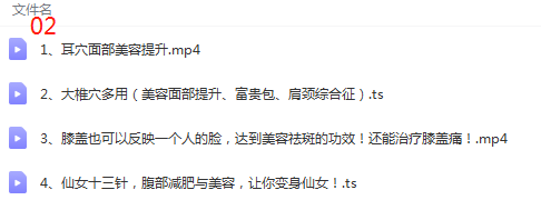 图片[4]-邱飞虎针灸教学视频教程飞虎闪电针法+鬼门十三针杨继洲全集-百度网盘下载