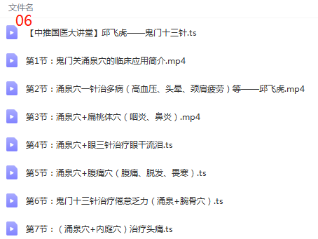 图片[8]-邱飞虎针灸教学视频教程飞虎闪电针法+鬼门十三针杨继洲全集-百度网盘下载