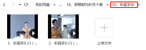 图片[5]-舒氏针灸视频教程舒卿内部资料课件69种疑难杂症教学课-百度网盘下载