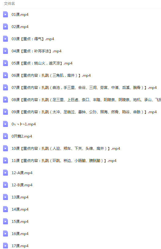 图片[6]-陆飚陆氏针灸手法传承班视频教程第1期第2期全套-百度网盘下载