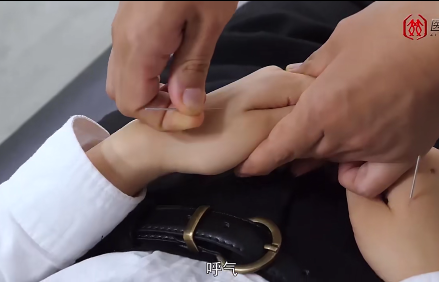 图片[12]-中医针灸解晓丽美容减肥高清视频教程针灸自学入门课-百度网盘下载