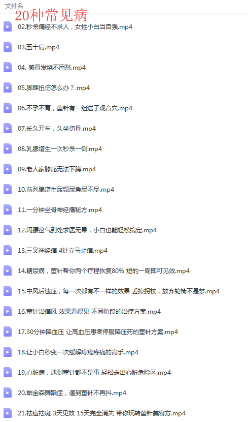 图片[2]-董氏奇穴针灸视频教程:郑承濬精选特效43讲20种常见病针刺配穴精讲课-百度网盘下载