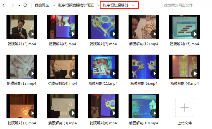 图片[2]-张宗恒神经解剖学针刀治颈肩腰腿痛学习班中医精品视频课程-百度网盘下载