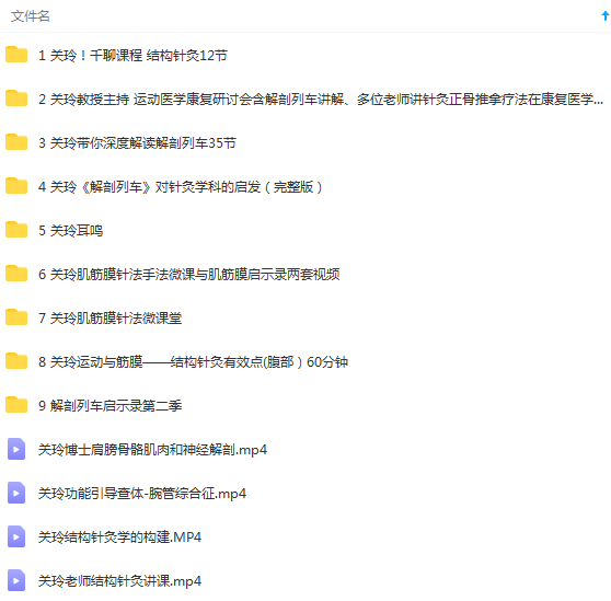 图片[2]-关玲教授结构针灸视频及解剖列车讲课视频教程合集-百度网盘下载