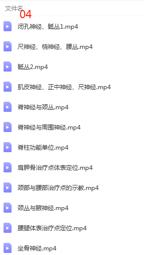 图片[7]-张宗恒神经解剖学针刀治颈肩腰腿痛学习班中医精品视频课程-百度网盘下载