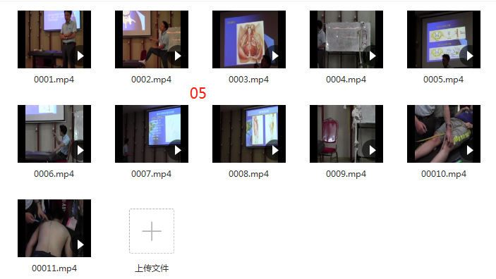 图片[8]-张宗恒神经解剖学针刀治颈肩腰腿痛学习班中医精品视频课程-百度网盘下载