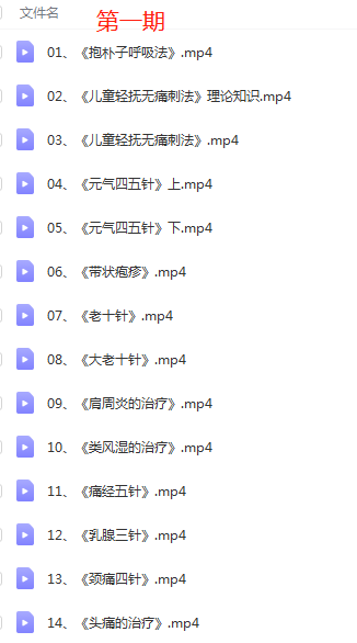图片[2]-刘长青元气针灸问道三十六病两期32集中医视频教程-百度网盘下载